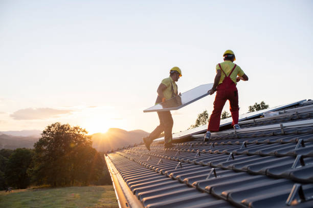 Best Asphalt Shingle Roofing  in Beaverton, MI