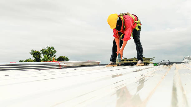 Best Metal Roofing Installation  in Beaverton, MI